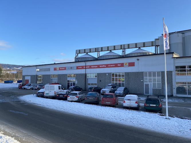 Bilde fra HOELS AUTO AS i Hønefoss