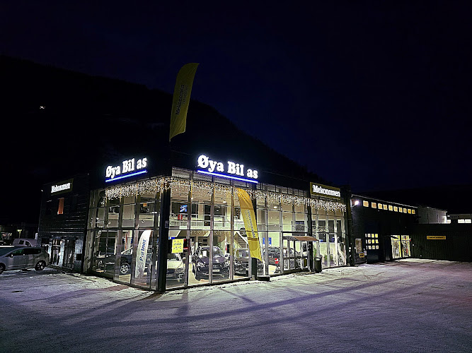 Bilde fra ØYA BIL AS i Otta