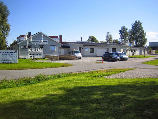Bilde fra LAKKPROFFEN AS i Årnes